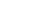 pointer