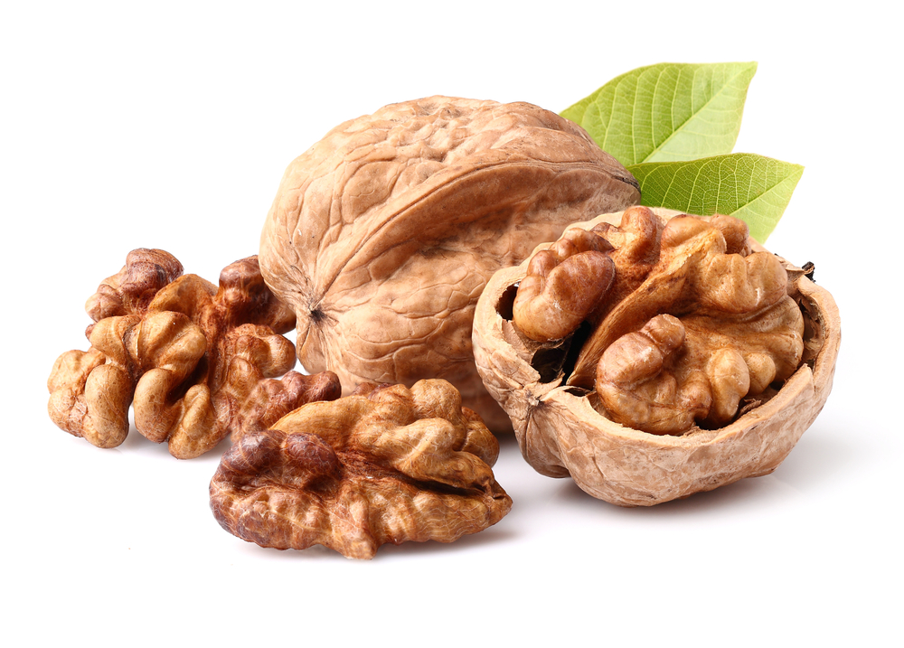 Add Walnuts to Your Diet for a Healthy Brain