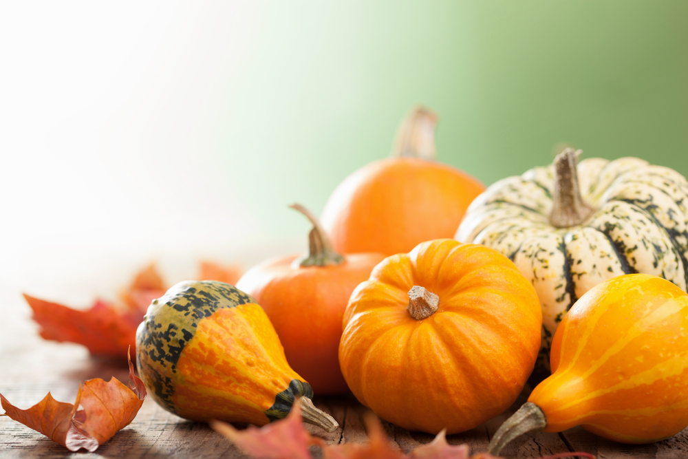 Seasonal Foods to Add To Your Plate