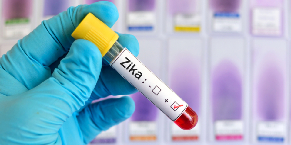 Do Seniors Have to Worry About The Zika Virus?