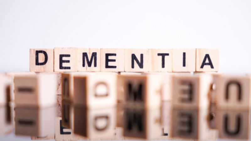 Caregiver's Guide to Understanding Dementia Behaviors