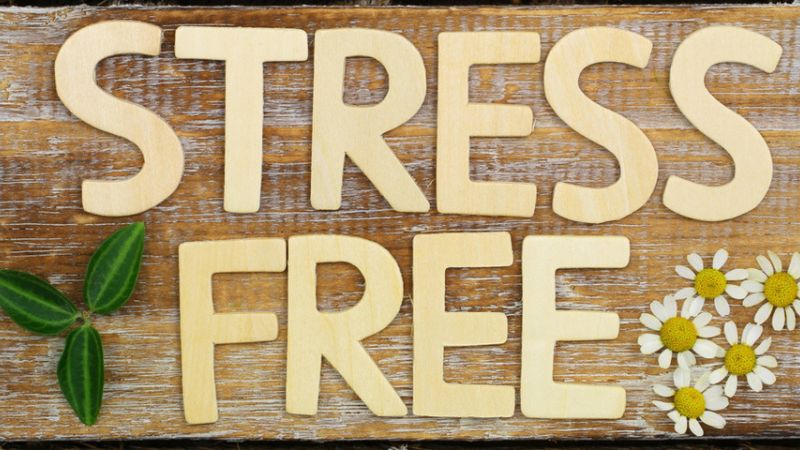 The 10 Steps to Become A Stress-Free Caregiver